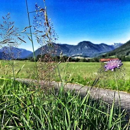 Alpenspass Mit Terrasse & Chiemgau Karte אינזל